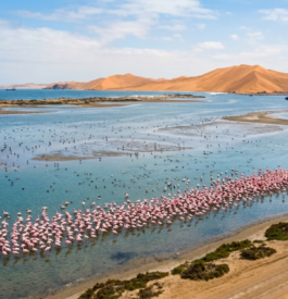 walvis bay