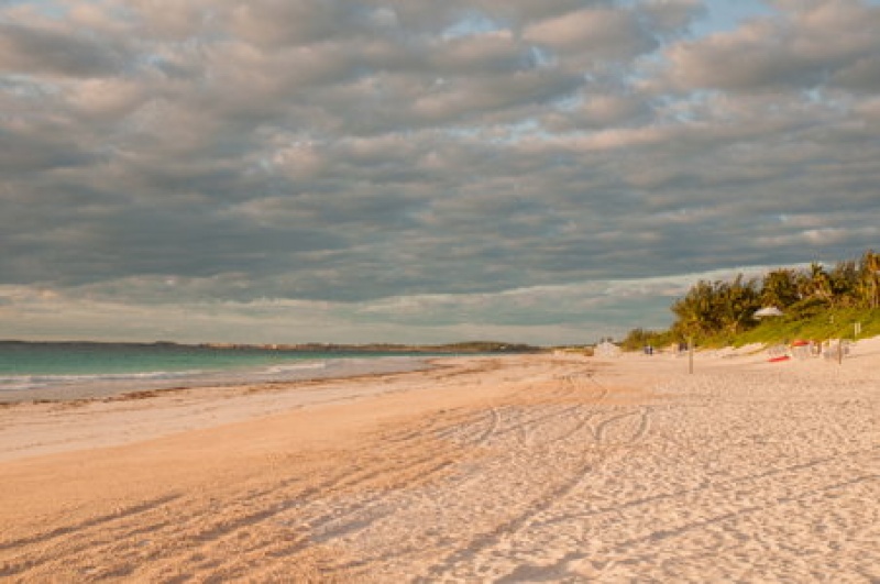 sable rose - plage de Harbour Island - Bahamas