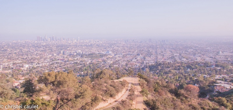 Vue sur Los Angeles depuis le Griffith Park