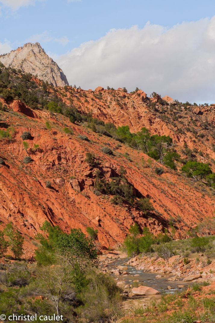 Roadtrip USA : Découvrir le Zion Canyon 